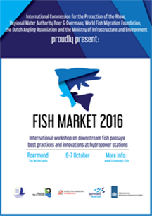 Vismarkt 2016: workshop stroomafwaartse passage bij waterkrachtcentrales